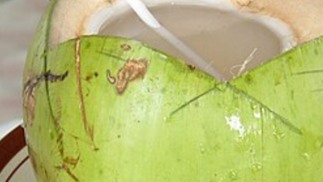 रोजाना नारियल पानी पीने से क्या होता है? जानें फायदे