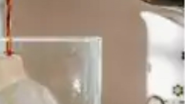 क्या मेट्रो में शराब लेकर जा सकते हैं? जानिए नियम