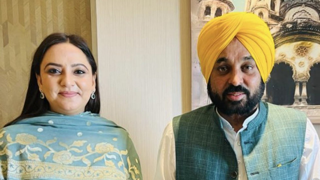 Punjab Mann Government,