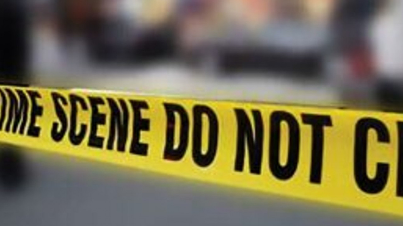 Delhi Alipur murder case
