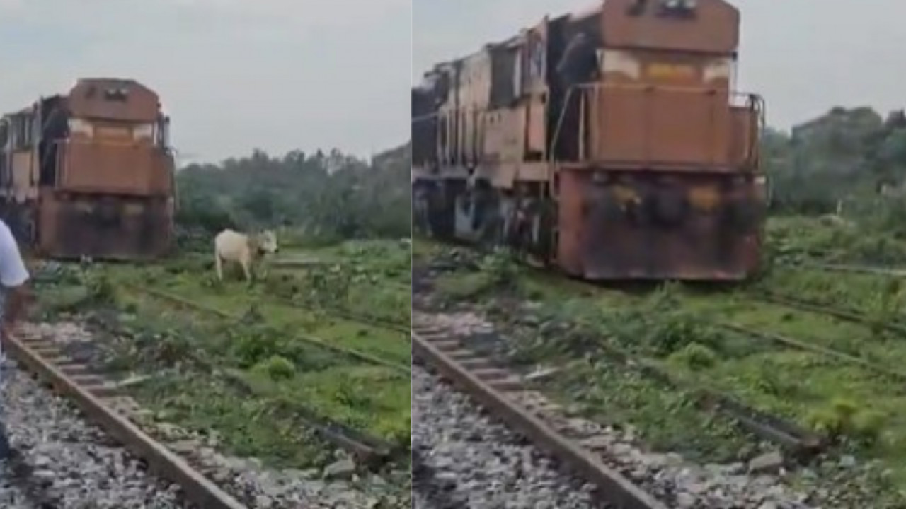 High speed train
