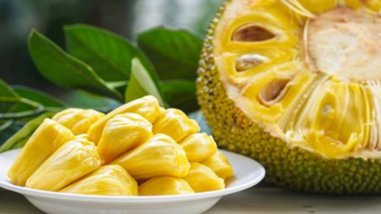 Jackfruit