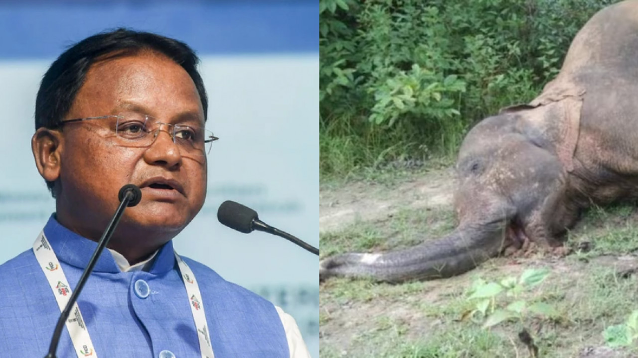 Odisha Elephant Death
