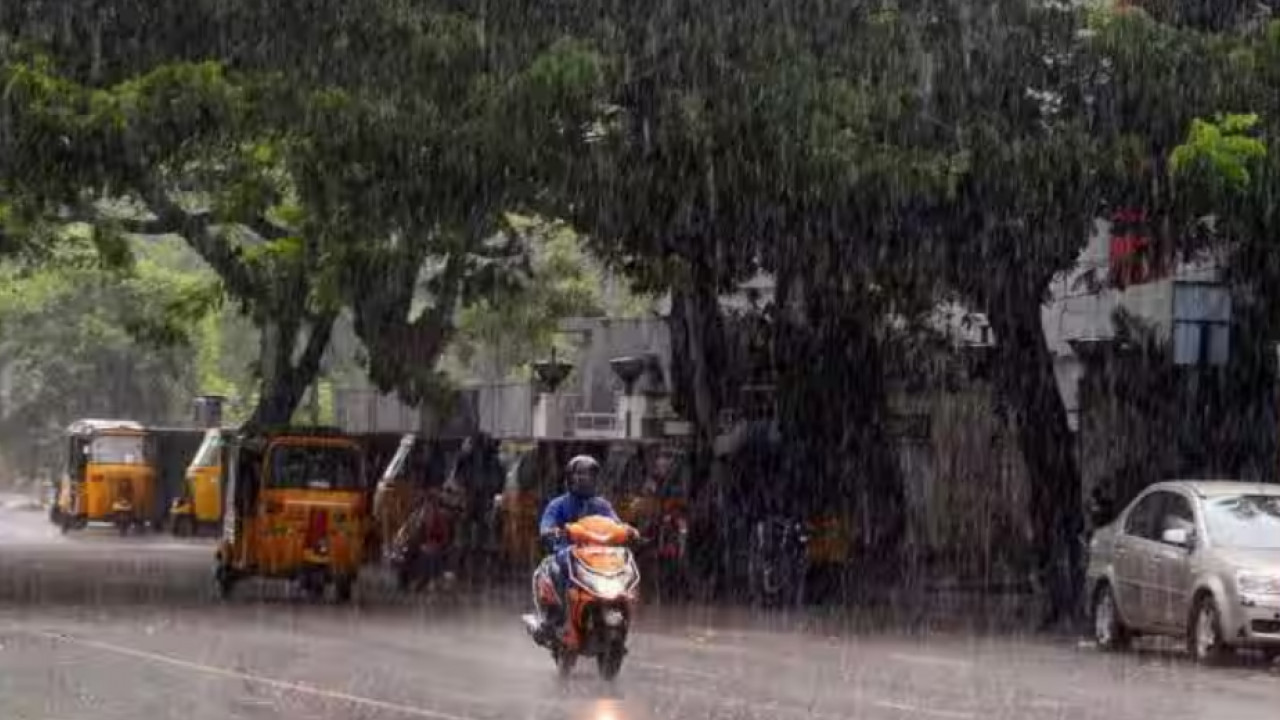 Odisha IMD red alert