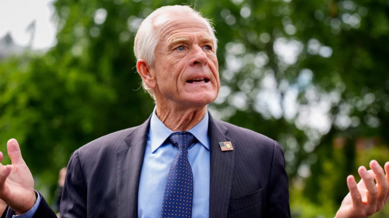 Peter Navarro on India