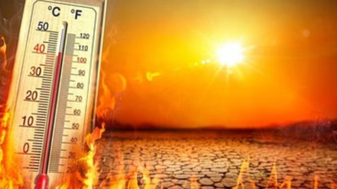 Türkiye temperature